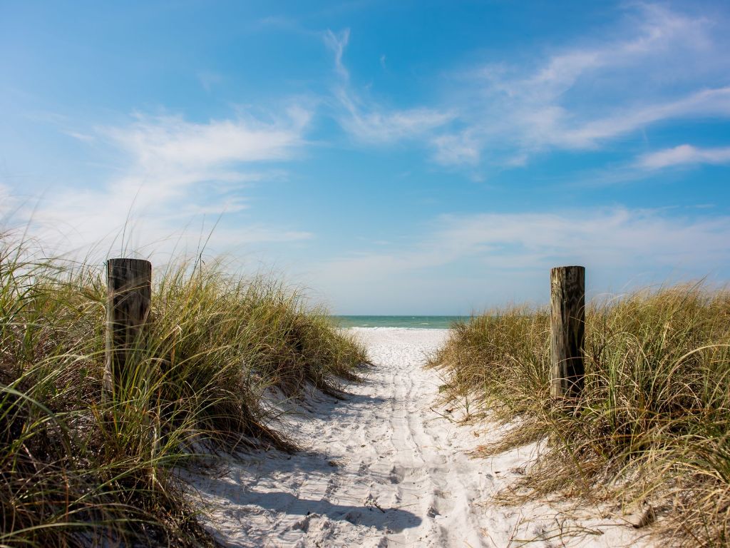 A Walk On The Beach