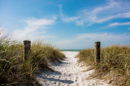 A Walk On The Beach