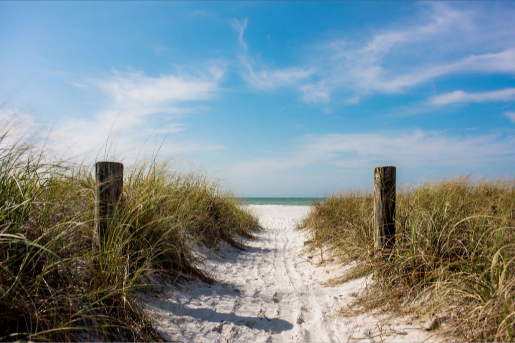 A Walk On The Beach