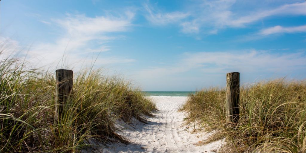 A Walk On The Beach