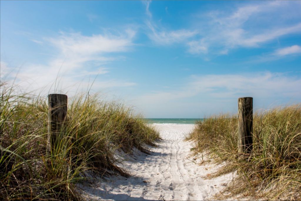 A Walk On The Beach