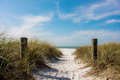 A Walk On The Beach