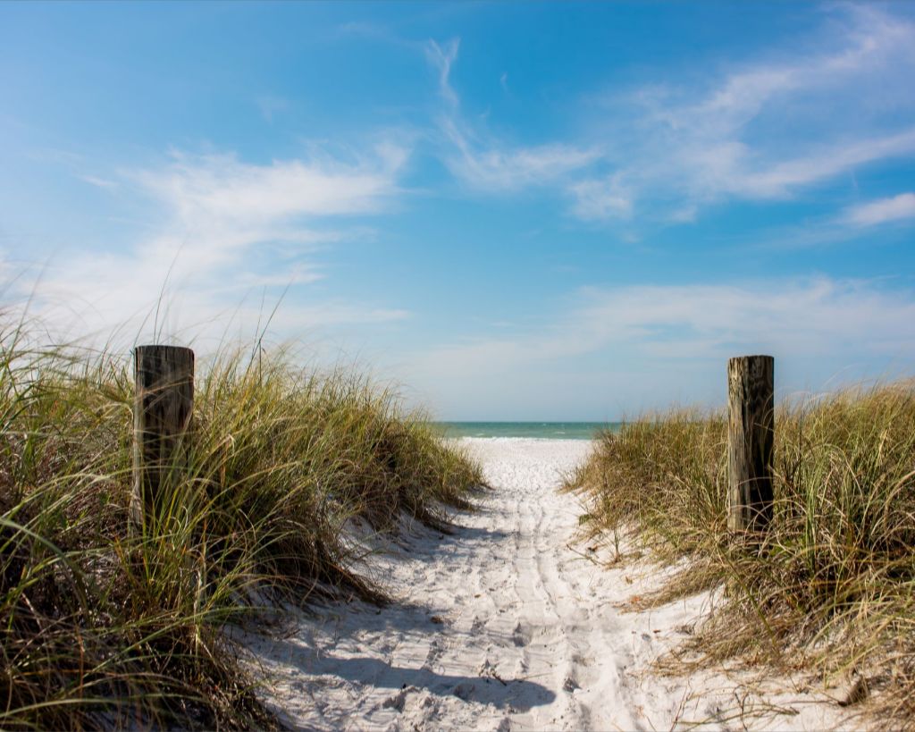 A Walk On The Beach