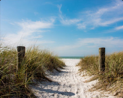 A Walk On The Beach