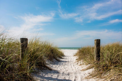 A Walk On The Beach