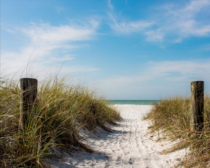 A Walk On The Beach