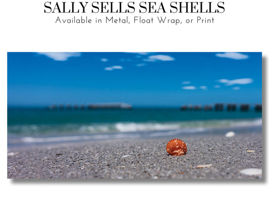 Sally Sells Sea Shells