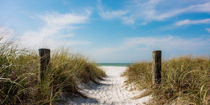 A Walk On The Beach