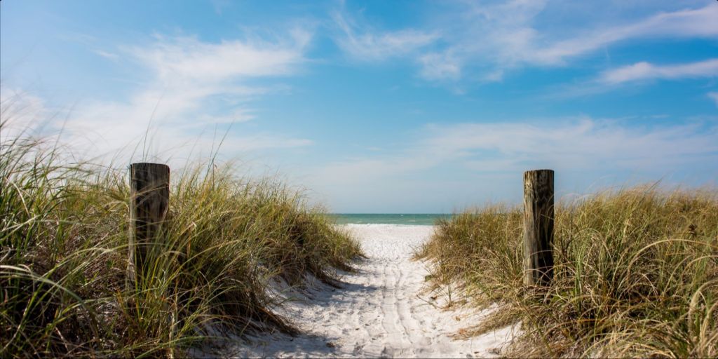 A Walk On The Beach