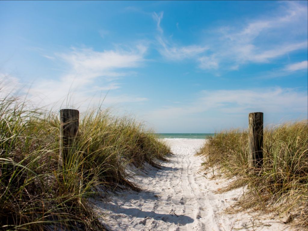 A Walk On The Beach