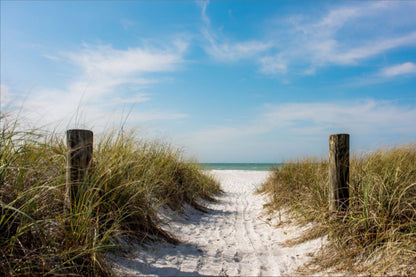 A Walk On The Beach